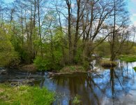 Konkurs fotograficzny pn. „Przyroda powiatu kieleckiego zimą i wiosną w obiektywie”