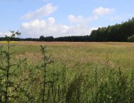 Trwają przygotowania do II Rajdu Rowerowego Szlakiem Brygady Świętokrzyskiej NSZ