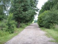 Trwają przygotowania do II Rajdu Rowerowego Szlakiem Brygady Świętokrzyskiej NSZ