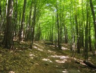 Góra Perzowa. Niezwykłe miejsce w powiecie kieleckim