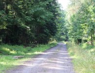 Trasa II Rajdu Rowerowego Szlakiem Brygady Świętokrzyskiej NSZ