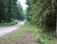 Trasa II Rajdu Rowerowego Szlakiem Brygady Świętokrzyskiej NSZ