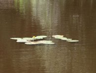 Trasa II Rajdu Rowerowego Szlakiem Brygady Świętokrzyskiej NSZ