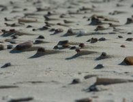 Powiat słupski na wakacyjny wypoczynek