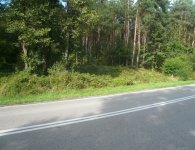 Krzyż upamiętniający Henryka Sienkiewicza