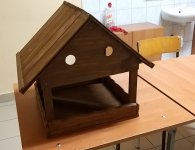 Młodzież pomaga ptakom przetrwać zimę