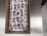 Zajęcia praktyczne w PZS w Łopusznie - technik żywienia i usług gastronomicznych