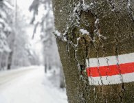 Hity turystyczne w 2020 r. w powiecie