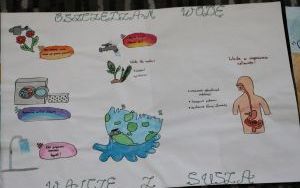 Konkursu pn. „Oszczędzam wodę - walczę z suszą” (9)