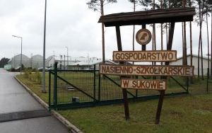 Wspólnie posadzili las  (16)