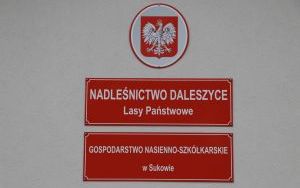 Wspólnie posadzili las  (9)