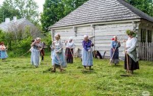 Sianokosy w Tokarni. Przypomnieli o dawnym zwyczaju ludowym  (5)