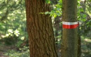 Rajd Szlakiem Brygady Świętokrzyskiej NSZ po raz trzeci. Trasa już znana (1)