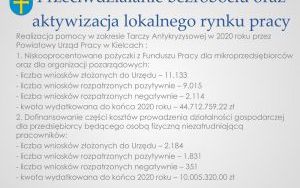 Raport o stanie powiatu kieleckiego za 2020 r. - prezentacja (5)