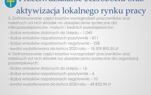 Raport o stanie powiatu kieleckiego za 2020 r. - prezentacja (6)