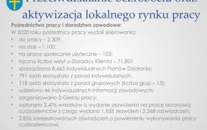 Raport o stanie powiatu kieleckiego za 2020 r. - prezentacja (8)