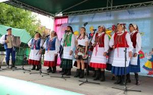 XX Powiatowy Przegląd Zespołów Folklorystycznych i Solistów w Chmielniku  (5)