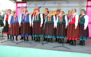 XX Powiatowy Przegląd Zespołów Folklorystycznych i Solistów w Chmielniku  (5)