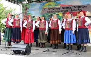 Święto muzyki ludowej w Chmielniku  (10)
