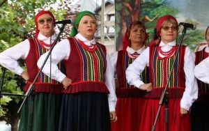 Święto muzyki ludowej w Chmielniku  (11)