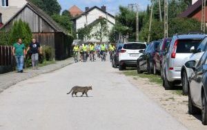 III Rajd Szlakiem Brygady Świętokrzyskiej NSZ (6)