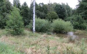 Negatywne skutki intensywnych opadów  (4)