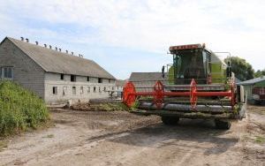 Starosta dożynek z powiatu kieleckiego (7)