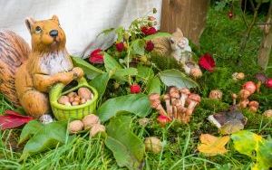 Świętokrzyski Jarmark  Agroturystyczny (5)