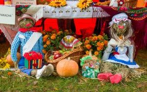 Świętokrzyski Jarmark  Agroturystyczny (7)