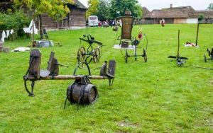 Świętokrzyski Jarmark  Agroturystyczny (7)