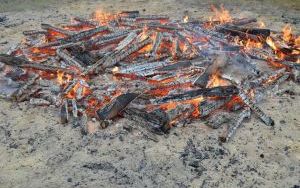 Wielkie pieczenie ziemniaków w Dębnie (12)