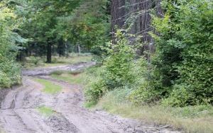 Rajd samorządowy po raz trzynasty (3)