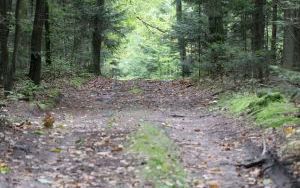 Rajd samorządowy po raz trzynasty (4)