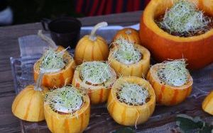 I Fesitwal Smaków Babiego Lata (5)