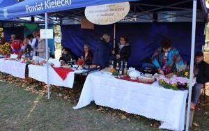 I Fesitwal Smaków Babiego Lata (7)