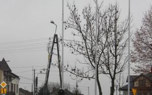 Świętujemy Niepodległość (5)