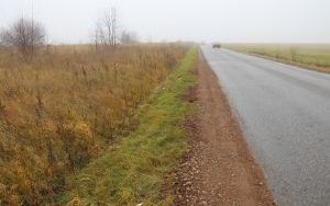 Drogowcy pracują przy bieżącym utrzymaniu dróg (4)