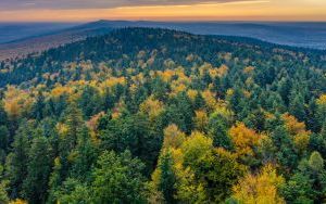 Zwycięskie i wyróżnione zdjęcia w konkursie  (1)