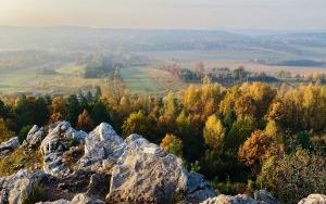 Zwycięskie i wyróżnione zdjęcia w konkursie  (2)