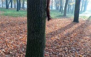 Zwycięskie i wyróżnione zdjęcia w konkursie  (5)