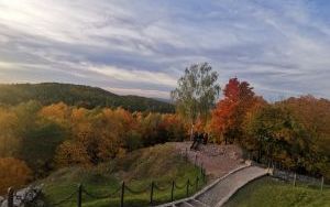 Zwycięskie i wyróżnione zdjęcia w konkursie  (6)