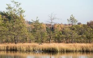 Zwycięskie i wyróżnione zdjęcia w konkursie  (7)