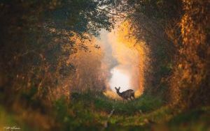 Piotr Michalec o swojej przygodzie z fotografią (4)