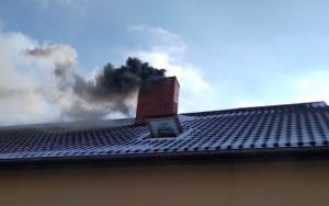 Płoną sadze. Wykonujmy regularnie przeglądy (3)
