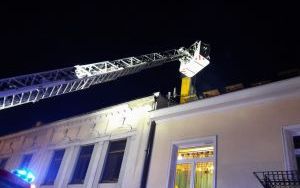 Płoną sadze. Wykonujmy regularnie przeglądy (4)