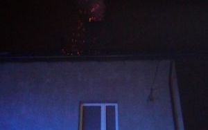Płoną sadze. Wykonujmy regularnie przeglądy (7)