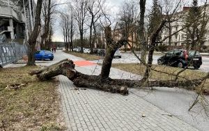 Wiele interwencji strażaków w powiecie z powodu orkanów (6)