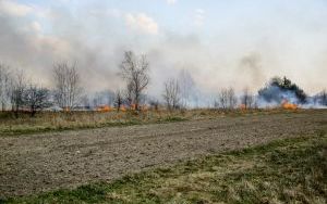 Przed nami najbardziej „palny” miesiąc w roku! Stop wypalaniu traw (1)