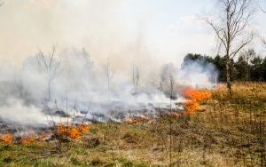 Przed nami najbardziej „palny” miesiąc w roku! Stop wypalaniu traw (3)