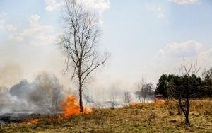 Przed nami najbardziej „palny” miesiąc w roku! Stop wypalaniu traw (5)